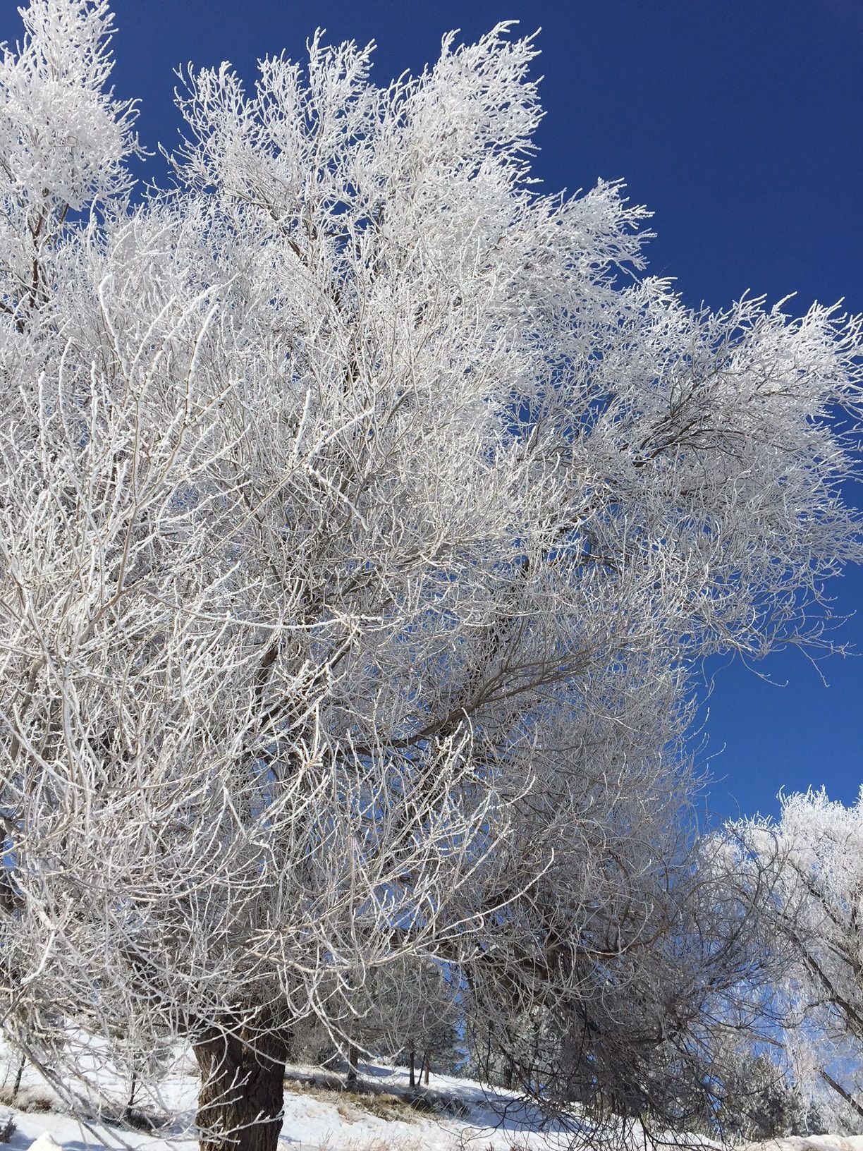 030818-nws-readerphoto